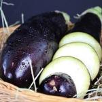 Aubergine
