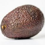Avocat