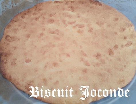 Biscuit joconde