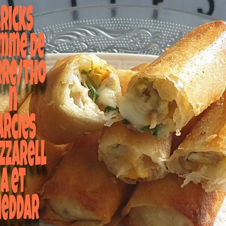 Bricks pomme de terre thon mozzarella et cheddar