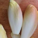 Endive