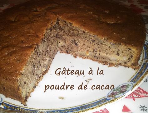 Gateau moelleux a la poudre de cacao