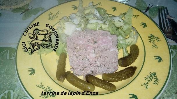 Terrine de lapin d enza au cookeo 2