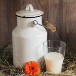 Lait