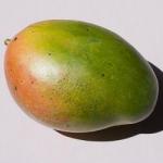 Mangue