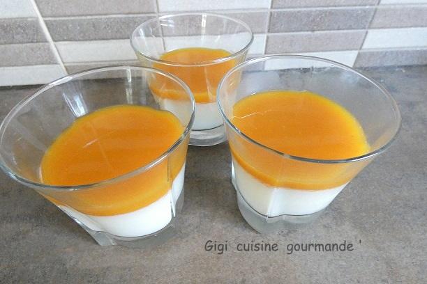 Panna cotta allegee mangue au compact cook pro
