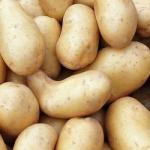 Pomme de terre