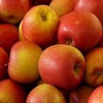 Pomme