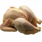 Poulet