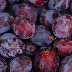 Prune