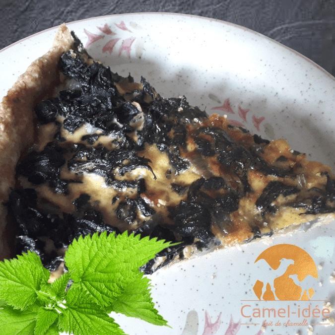 Tarte a l ortie et lait de chamelle