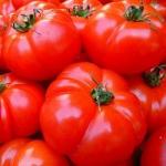 Tomate