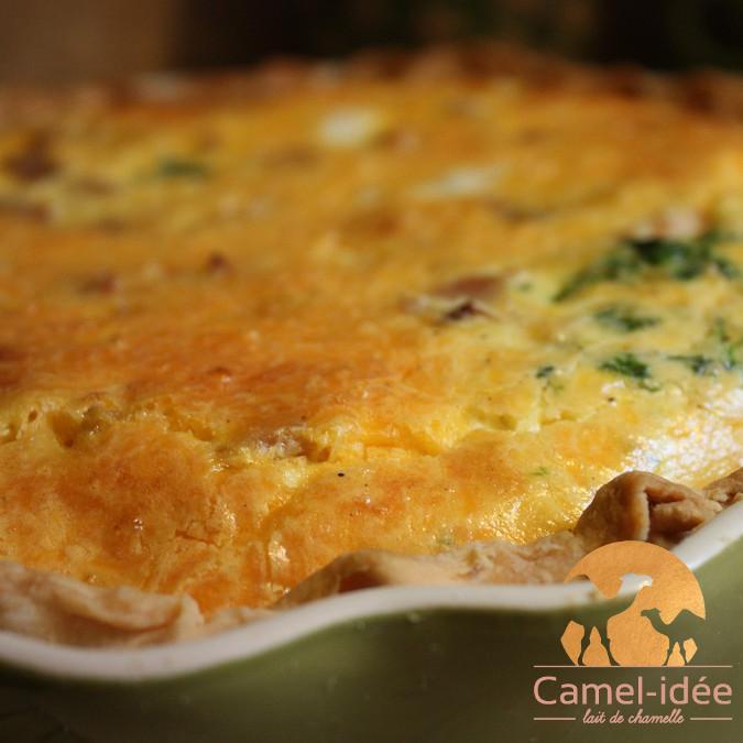Tourtiere lait de chamelle b uf et tomates