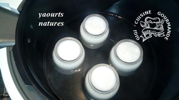 Yaourts natures en duo au thermomix et cookeo